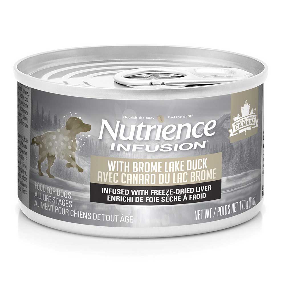 Nutrience Infusion Pate Pour Chien Canard Du Lac Brome 170 G La Jungle De Compagnie